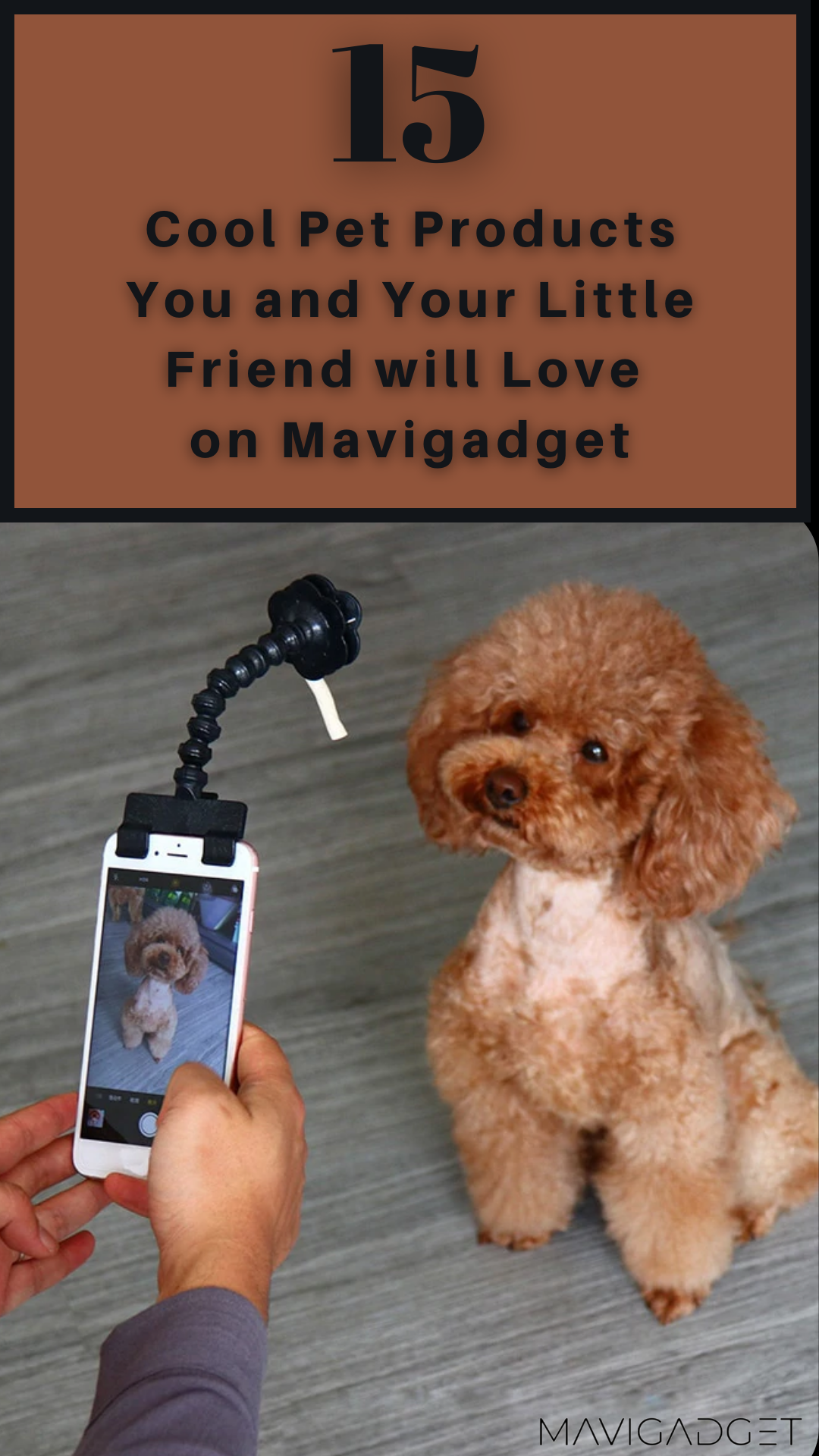 15 Cool Pet Products You and Your Little Friend will Love on Mavigadget