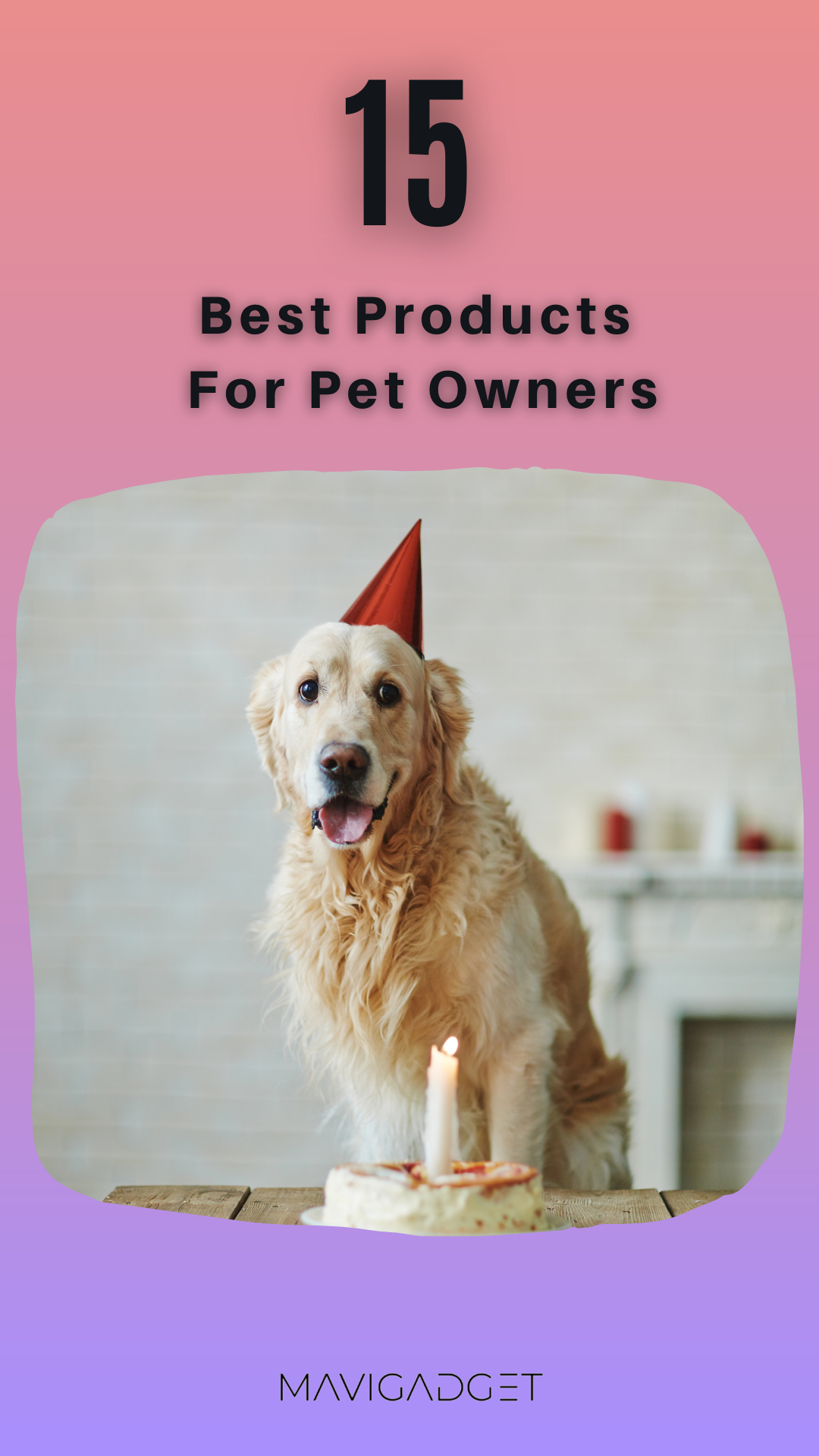 15 Best Products For Pet Owners