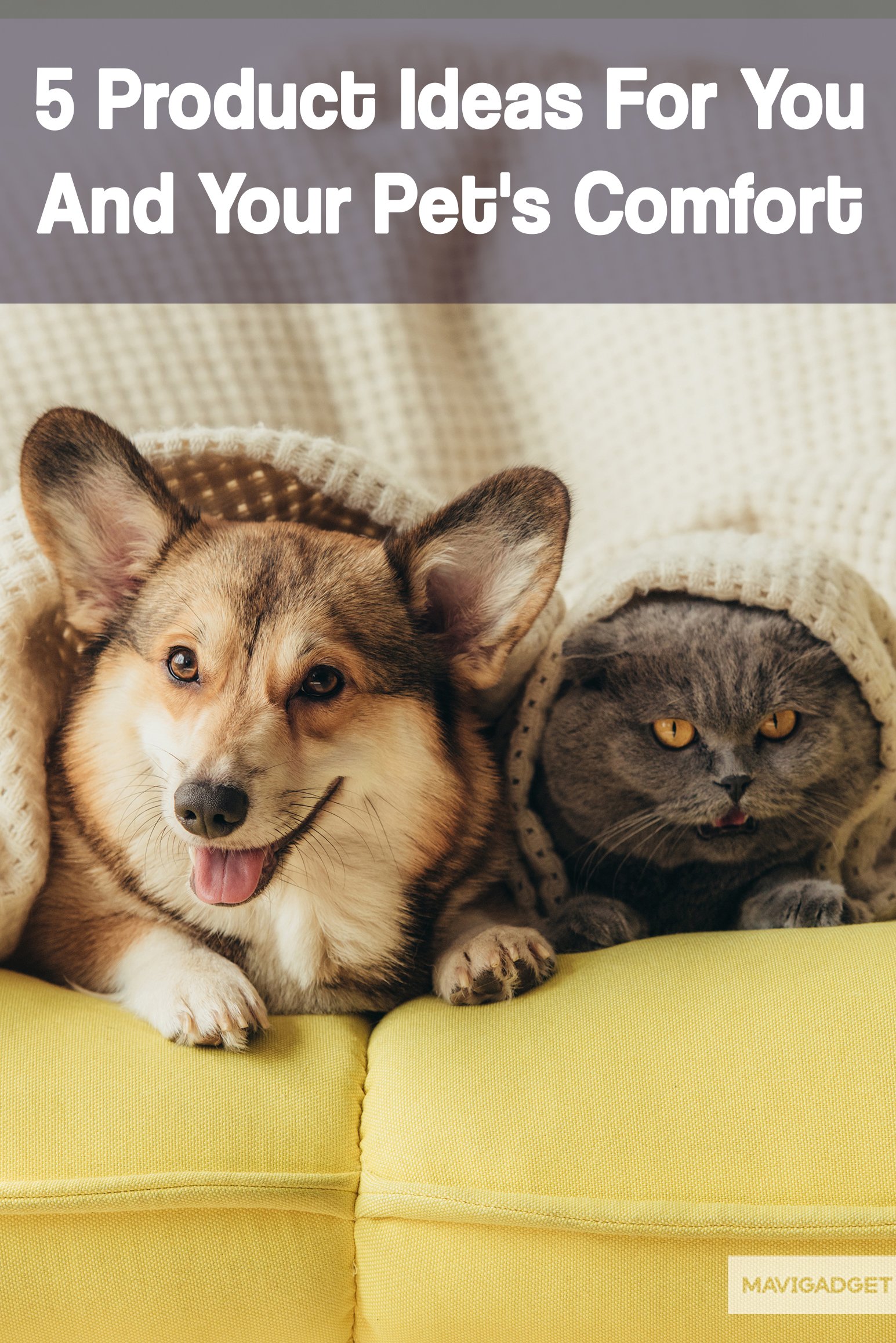 5 Product Ideas For You And Your Pet’s Comfort