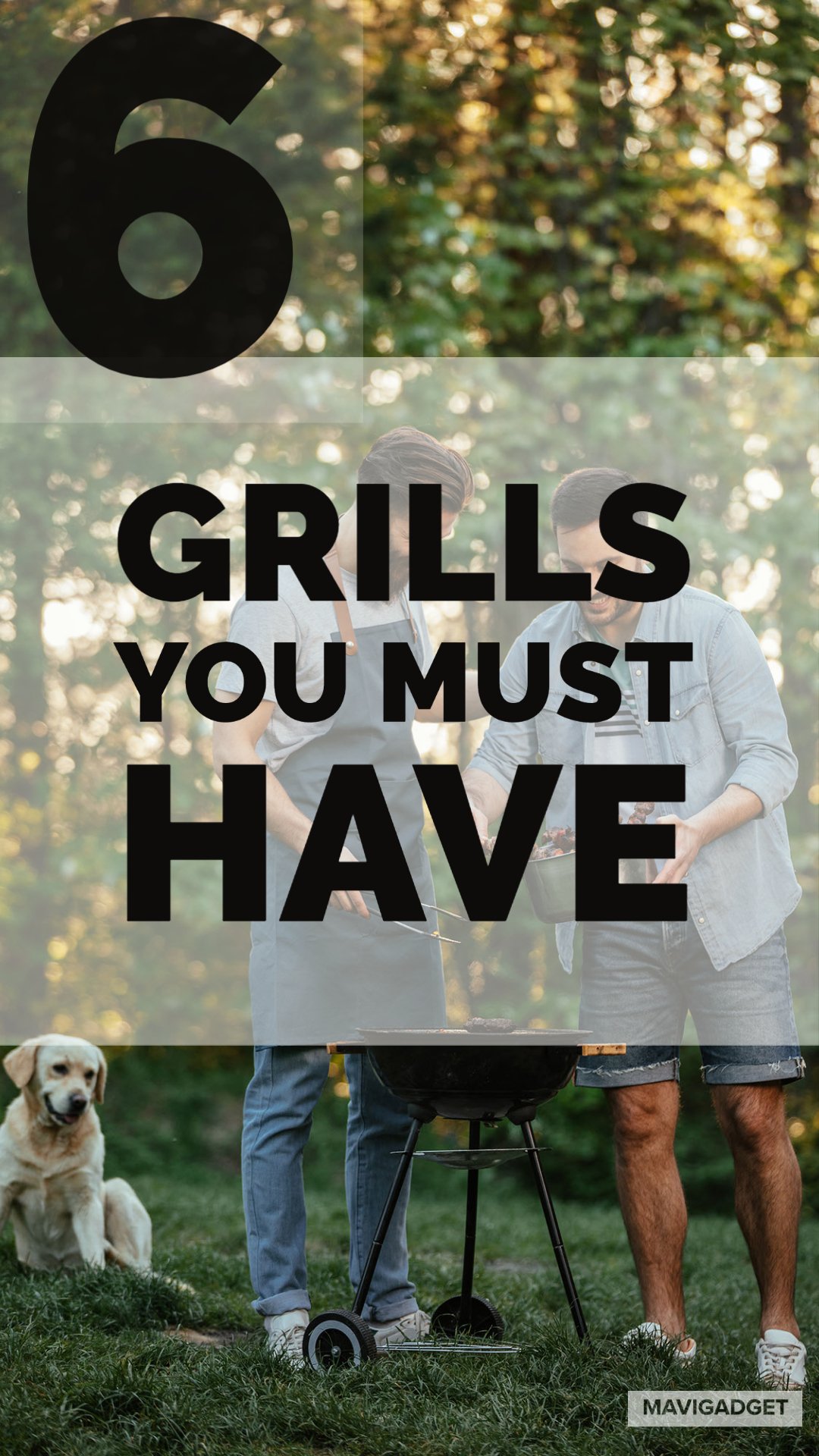 6 Grills You Must Have