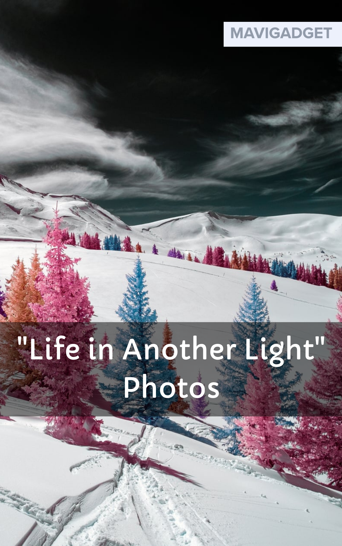 “Life in Another Light” Photos