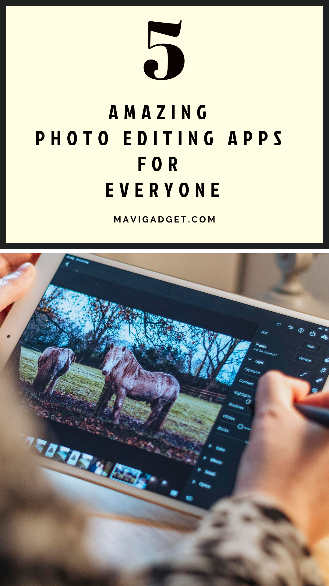 5 Amazing Photo Editing Apps for Everyone