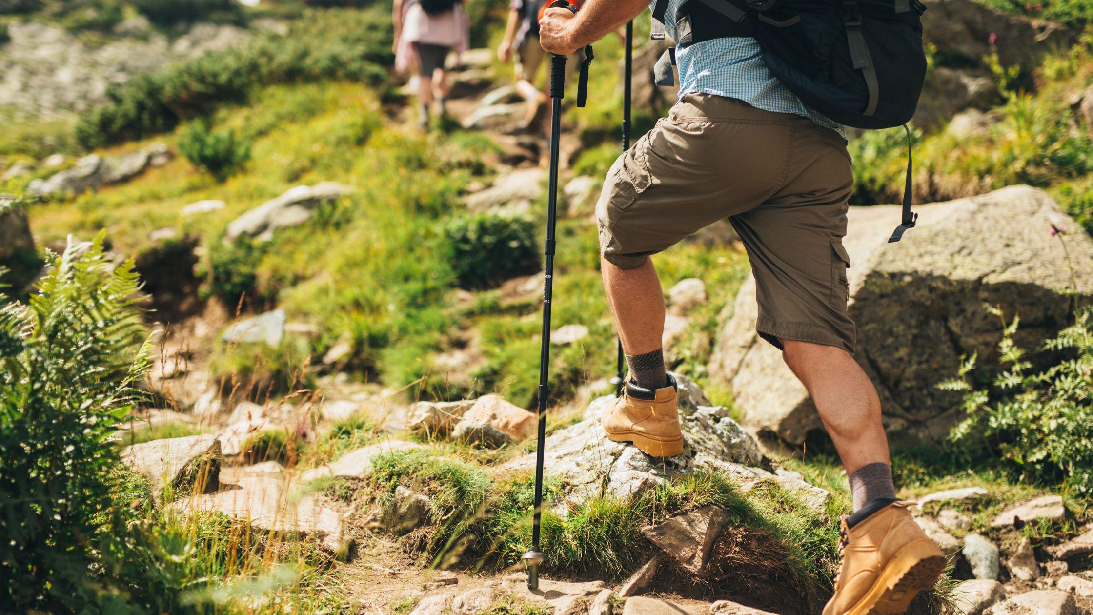 Nature 101: Simple Tips and Tricks for Outdoor Discovery