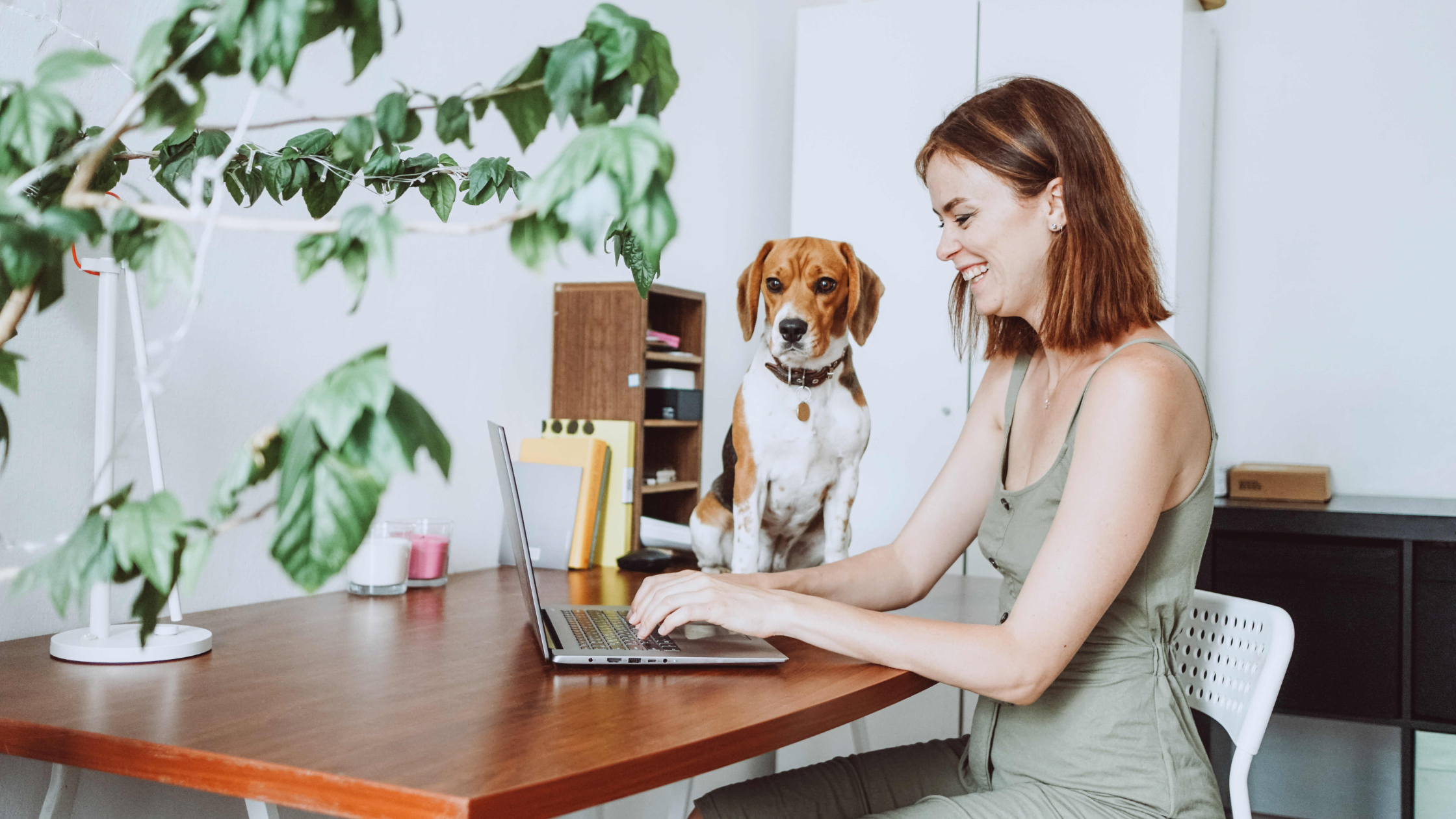 11 Work From Home Essentials on Mavigadget