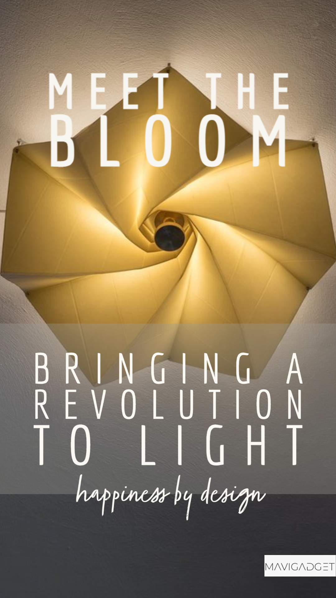 Meet The Bloom: Bringing A Revolution to Light