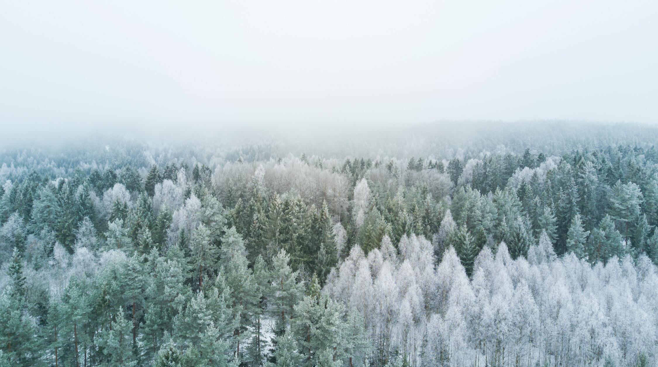 The Science of Why We Love Winter