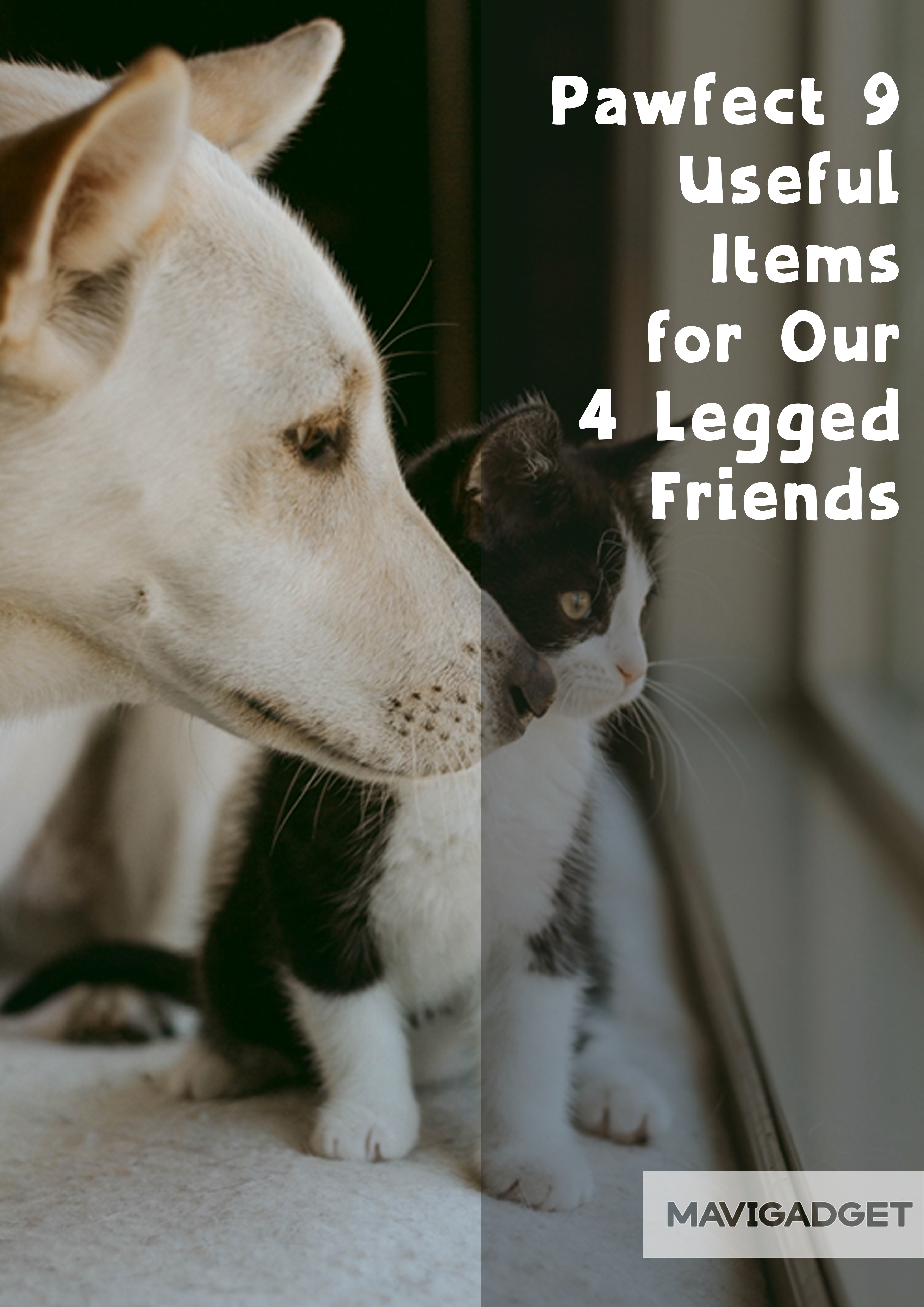 Pawfect 9 Useful Items for Our 4-legged Friends