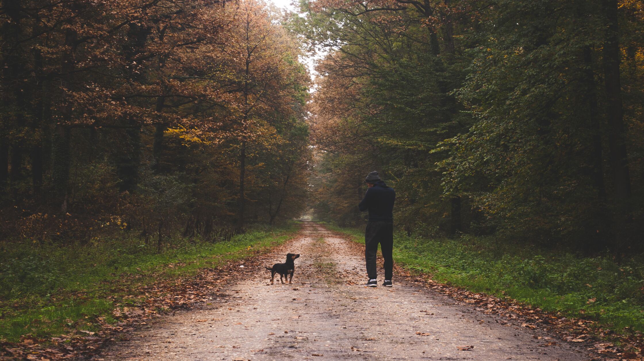 The Human-Animal Bond: Exploring the Psychological and Physical Health Benefits of Pet Ownership