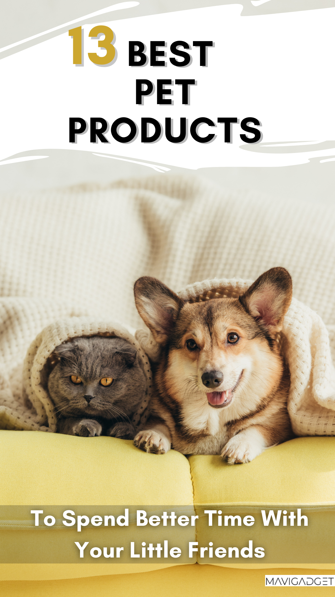 13 Best Pet Products To Spend Better Time With Your Little Friends