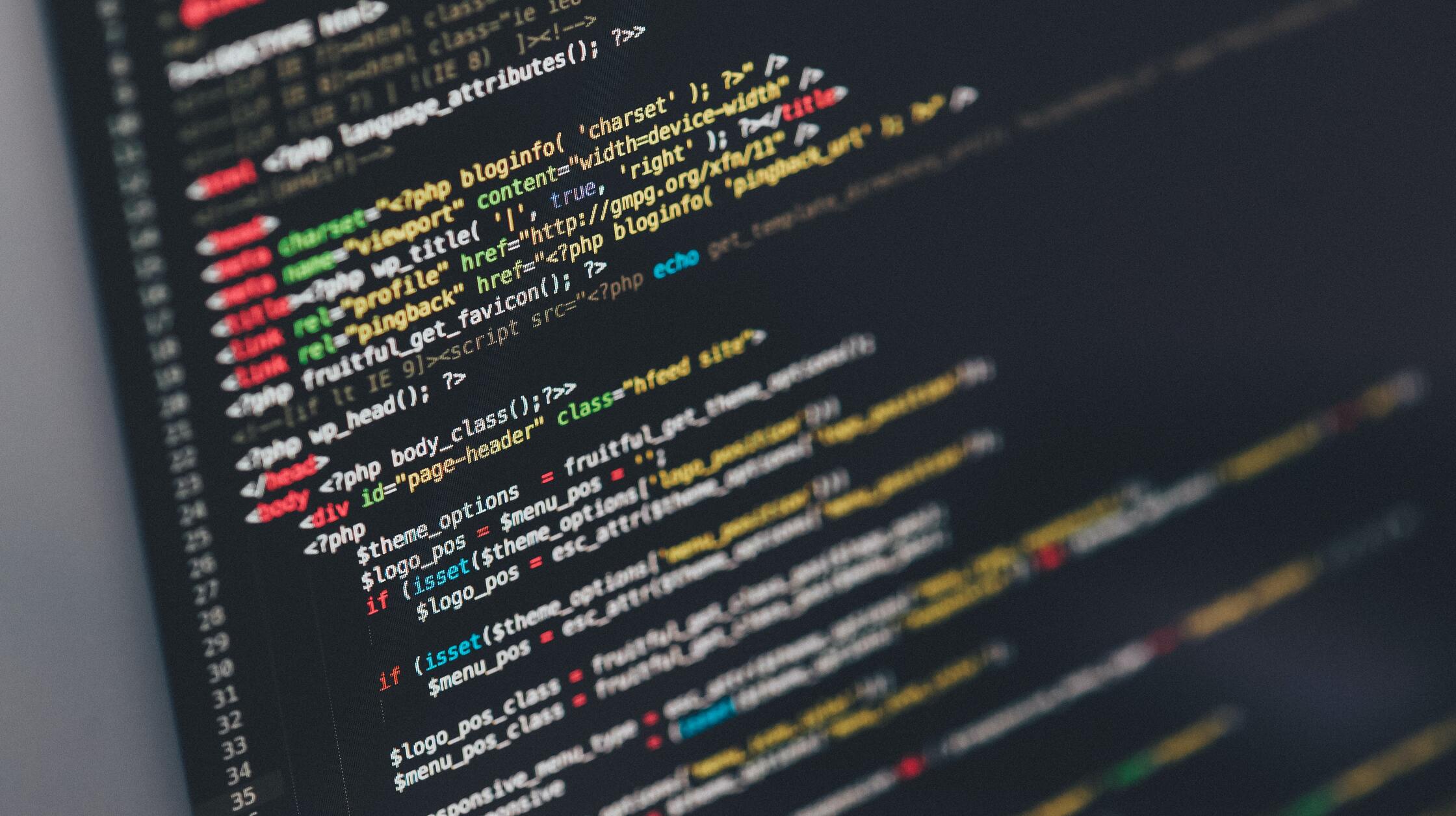 A Beginner’s Guide to Coding: Which Language Should You Choose?