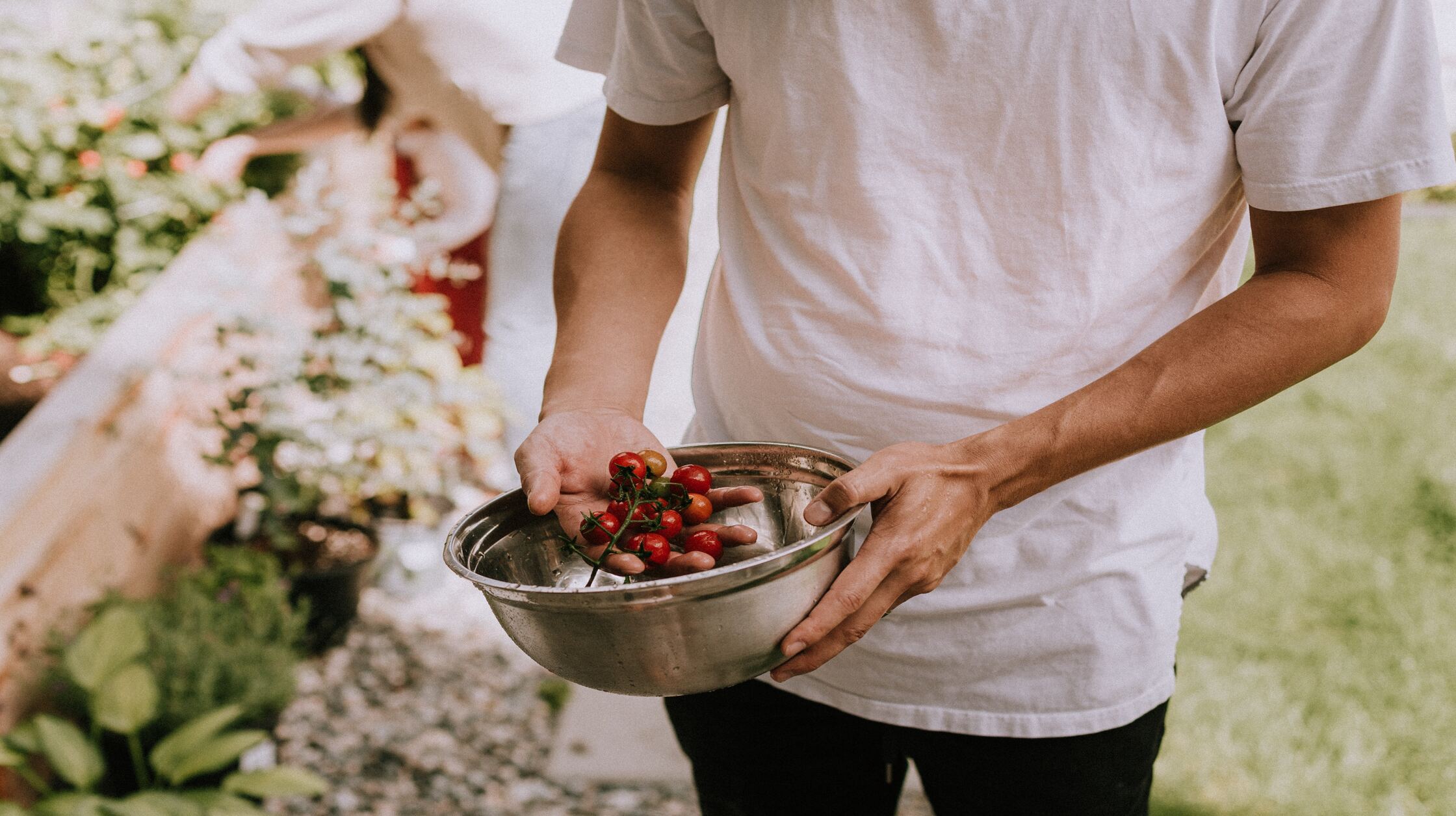 Cook Like a Pro: Essential Cookware and Utensils for Gourmet Meals at Home